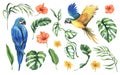 Tropical palm leaves, monstera and flowers of plumeria, hibiscus, bright with blue-yellow macaw parrot. Hand drawn Royalty Free Stock Photo