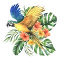 Tropical palm leaves, monstera and flowers of plumeria, hibiscus, bright juicy with blue-yellow macaw parrot. Hand drawn Royalty Free Stock Photo