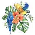 Tropical palm leaves, monstera and flowers of plumeria, hibiscus, bright juicy with blue-yellow macaw parrot. Hand drawn Royalty Free Stock Photo