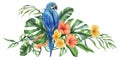 Tropical palm leaves, monstera and flowers of plumeria, hibiscus, bright juicy with blue-yellow macaw parrot. Hand drawn Royalty Free Stock Photo