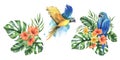 Tropical palm leaves, monstera and flowers of plumeria, hibiscus, bright juicy with blue-yellow macaw parrot. Hand drawn Royalty Free Stock Photo