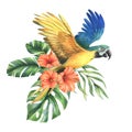 Tropical palm leaves, monstera and flowers of red hibiscus, bright juicy with blue-yellow macaw parrot. Hand drawn Royalty Free Stock Photo