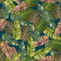 Tropical palm leaves and monstera, jungle leaf vector seamless floral pattern background Royalty Free Stock Photo