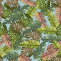 Tropical palm leaves and monstera, jungle leaf vector seamless floral pattern background Royalty Free Stock Photo