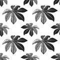 Tropical palm leaves seamless floral pattern background for decorative and display purpose.Ideal for florist,event promotions,wedd Royalty Free Stock Photo