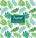 Tropical Palm Leaves Seamless Pattern