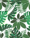 Tropical palm leaves seamless pattern