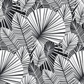 Tropical palm leaves seamless pattern