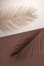 Tropical Palm leaves with summer shadow creatively arranged on pastel background