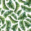 Tropical palm leaves watercolor seamless pattern on white background with green jungle plants Royalty Free Stock Photo