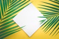 Tropical palm leaves with white paper card Frame on pastel Royalty Free Stock Photo