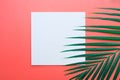 Tropical palm leaves with white paper card Frame on pastel Royalty Free Stock Photo