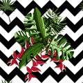 Tropical palm leaves and zig zag seamless pattern