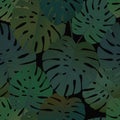 Tropical palm monstera leaves seamless pattern Royalty Free Stock Photo