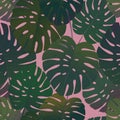 Tropical palm monstera leaves seamless pattern Royalty Free Stock Photo