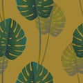 Tropical palm monstera leaves seamless pattern Royalty Free Stock Photo