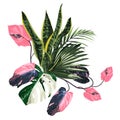 Tropical palm, pink liana branches and exotic leaves, Sansevieria composition over white background.