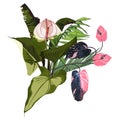 Tropical palm, pink liana branches and exotic leaves, Spathiphyllum flower composition over white background.