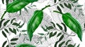 609_Tropical palm, Spathiphyllum leaves background.