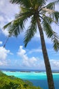 Tropical palm tree with a beautiful chain of islands & breathtaking landscape in the background, Bora Bora, French Polynesia Royalty Free Stock Photo