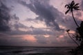 Tropical palm tree on the cliff. Indian ocean and surf waves. Sun, sky, sea, waves and sand. Royalty Free Stock Photo