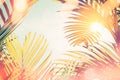 Tropical palm tree with colorful bokeh sun light on sunset sky cloud abstract background Royalty Free Stock Photo