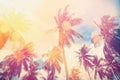 Tropical palm tree with colorful bokeh sun light on sunset sky cloud abstract background Royalty Free Stock Photo