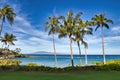 Tropical palm tree and Lanai view from Napili Bay on Maui.