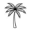 Tropical Palm Tree Line Art Vector Doodle Royalty Free Stock Photo