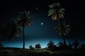 Tropical Palm tree night dark. Generate Ai Royalty Free Stock Photo