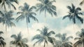 tropical palm tree pattern leaf Royalty Free Stock Photo