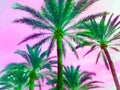 Tropical palm tree in retro vapor synth wave neon 80`s summer vibe saturated in bright pink and ufo green exotic trend pop art Royalty Free Stock Photo