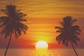 tropical palm tree and sea sunset summer background Royalty Free Stock Photo