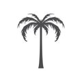 Tropical palm tree silhouette. Stock Vector illustration isolated on white background. Royalty Free Stock Photo