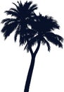 Tropical Palm Tree Silhouette Vector Illustration Royalty Free Stock Photo