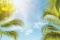 Tropical Palm Tree With Sun Light On Sunset Sky And Cloud Abstract Background