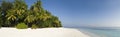 Tropical palm tree and white sand Maldives Royalty Free Stock Photo