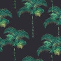 Tropical Palm Trees Background Royalty Free Stock Photo