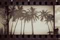 Tropical palm trees on beach, vintage stylized Royalty Free Stock Photo