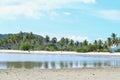 Tropical Palm Trees at Laem Haad Beach on Koh Yao Yai Island