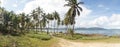 Tropical palm trees and ocean landscape at Las Galeras Beach in the SamanÃÂ¡ Bay of Caribbean Dominican Republic. Royalty Free Stock Photo