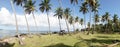 Tropical palm trees and ocean landscape at Las Galeras Beach in the SamanÃÂ¡ Bay of Caribbean Dominican Republic. Royalty Free Stock Photo