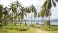 Tropical palm trees and ocean landscape at Las Galeras Beach in the SamanÃÂ¡ Bay of Caribbean Dominican Republic. Royalty Free Stock Photo