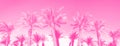 Tropical palm trees over trendy neon pink sky. Summer and travel concept. Holiday background. Palm leaves and branches texture Royalty Free Stock Photo