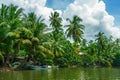 Tropical palm trees on the river bank. Royalty Free Stock Photo