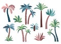 Tropical palm trees set.