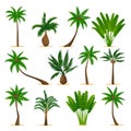 Tropical palm trees set, isolated on white background. Vector flat cartoon illustration. Jungle plants design elements Royalty Free Stock Photo