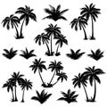 Tropical palm trees set silhouettes Royalty Free Stock Photo