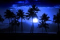 Tropical Palm Trees Silhouette Full Moon Midnight Moonrise Night Royalty Free Stock Photo