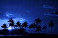 Tropical Palm Trees Silhouette Full Moon Midnight Royalty Free Stock Photo